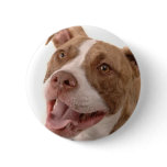 Baxter-rescued dog button