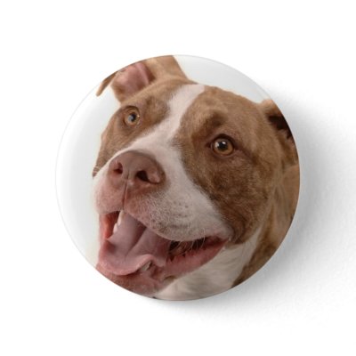 Baxter-rescued dog button by rescueadog