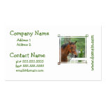 Bay Arab Horse Business Cards