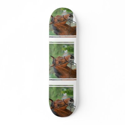 Bay Arab Horse Skateboard by HorseStall