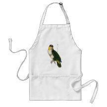 Bay-Headed Parrot by Edward Lear Apron