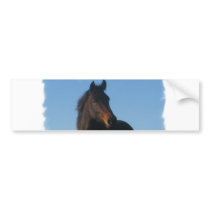 Bay Horse Bumper Sticker