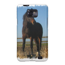 Bay Horse Samsung Galaxy Case Samsung Galaxy S2 Cover