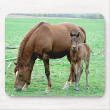 Bay Mare and Her Colt Mouse Mat