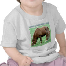 Bay Mare and Her Colt T-shirts