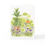 Bay Nasturtium Watercolor Flower Art Note Card