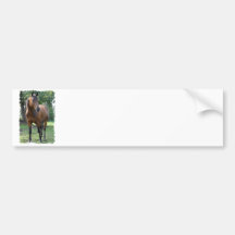 Bay Thoroughbred Horse Bumper Sticker