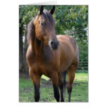 Bay Thoroughbred Horse Greeting Card