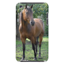 Bay Thoroughbred Horse iTouch Case iPod Touch Covers