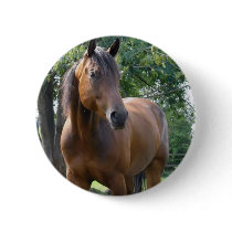 Bay Thoroughbred Horse Round Button