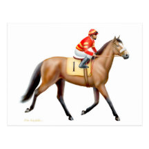 Bay Thoroughbred Race Horse Postcard