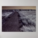 Bayland Trails Infrared Image Print