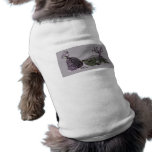 Bayou Doll Pet Clothing