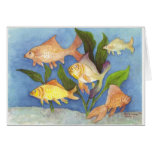 Bayou Fish cards