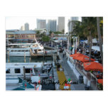 Bayside Park, Miami Post Card