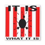 Bazinga Gifts Fridge Magnets