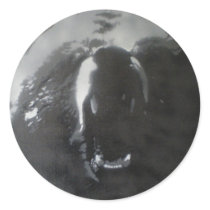 BB Bear Ronde Stickers