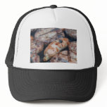 BBQ Sausages hats