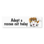 BC- Adopt a Rescue at Today Bumper Sticker