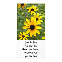 BC- Fun Custom Daisy Photocards Photo Greeting Card