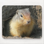 BC Ground Squirrel mousepads