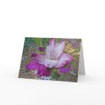 BC- Purple Gladiolas Greeting Card