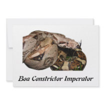 BCI Invitations