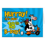bd scooter cow - 18 greeting cards
