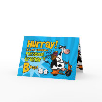bd scooter cow - personal trainer