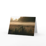 [ BD ] Victorian Landscapes : Healesville