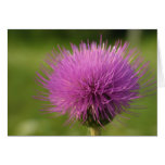Be a Prick - pink thisetle card