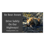 BE BEAR AWARE Photo Cards photo cards
