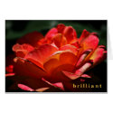 Be brilliant card