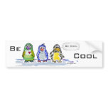 Be Cool Cartoon Penguins Bumper Sticker bumper stickers