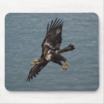 BE DARING Flying Bald Eagle Mouse Pads