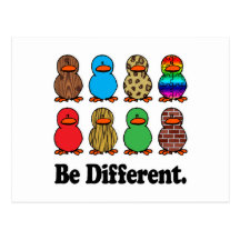 Be Different Ducks Postcard