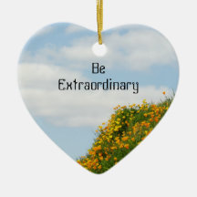 Be Extraordinary gifts ornaments Inspirations