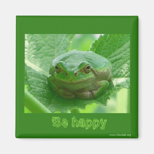 Be happy  - green smiling frog magnet