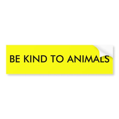 BE KIND TO ANIMALS BUMPER STICKERS by gailwhale