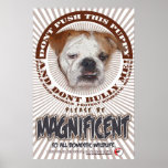 BE MAGNIFICENT POSTERS