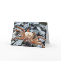 Be My Friend! Cards