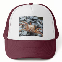 Be My Friend! Trucker Hats