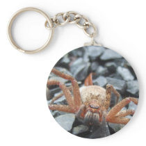 Be My Friend! Key Chain