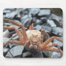 Be My Friend! Mouse Mats