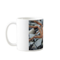Be My Friend! Mugs