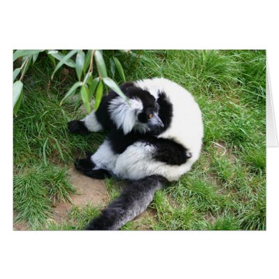 Be my lemur! by silentwatcher