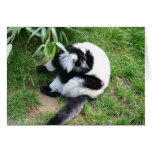 Be my lemur! cards