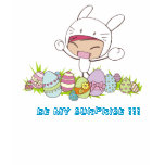 BE MY SURPRISE !!! t-shirts