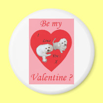Be my Valentine ? magnets