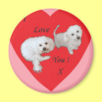 Be my Valentine ? magnets